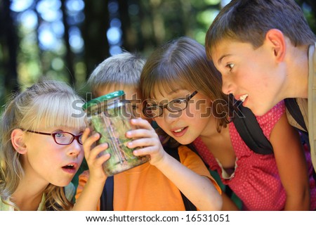 Children looking at bug in jar Children looking at bug in jar