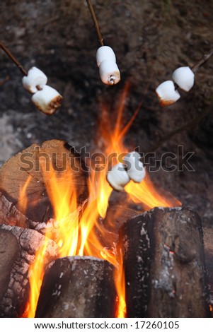 Marshmallows roasting on campfire