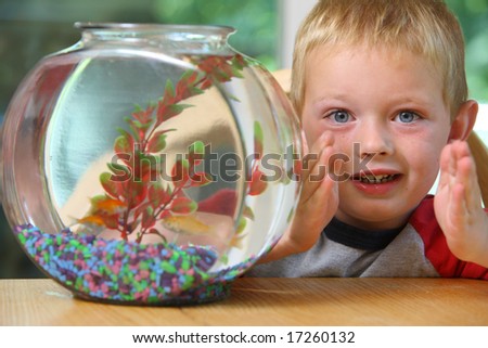 Young boy showing how big his pet fish is