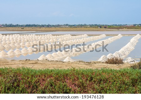 The harvest times of salt in salt evaporation pond in Thailand
