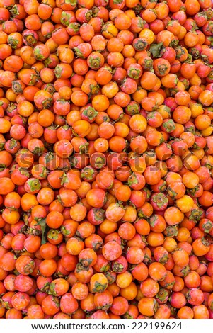 Small red persimmon fruits are the edible fruit of a number of species of trees in the genus Diospyros.