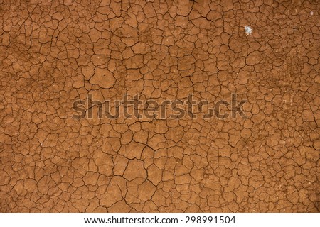 Dried and Cracked ground soil for background and texture