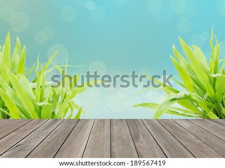 Wooden floor and green grass in garden