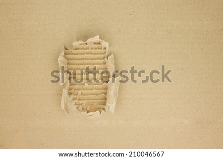 Shelf in hole ripped brown paper background