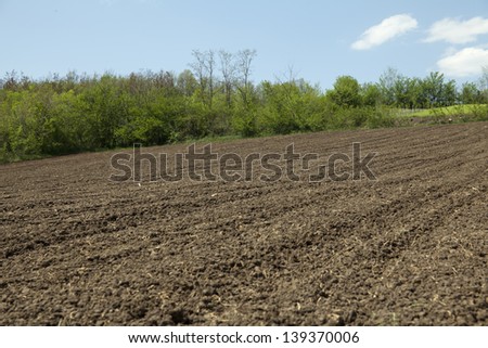 plowed fields and trees