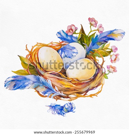 Easter eggs in a nest with feathers and flowers on a white background. Easter greeting card. Watercolor illustration.