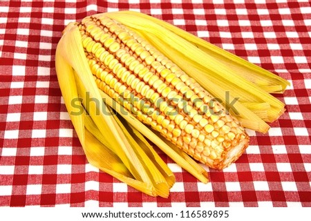 Corn Cob on red and white tablecloth