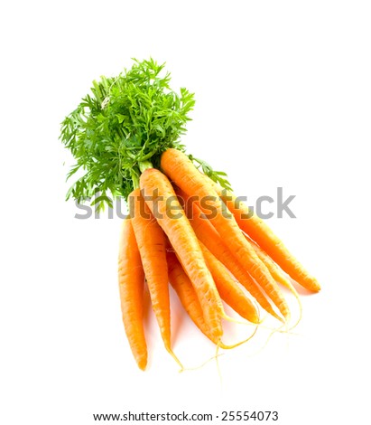 stock photo : Carrot fresh