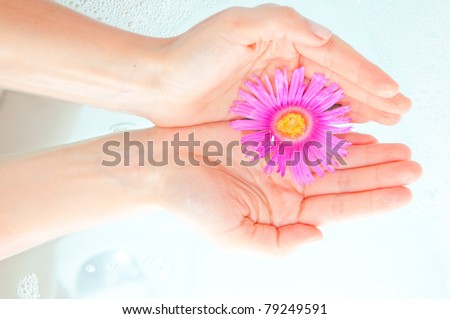 female hand and flower in water