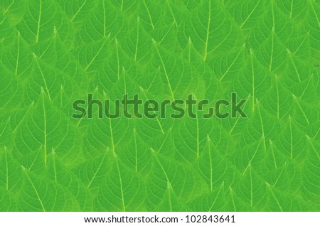 art  background with green  leaves   , abstract wallpaper