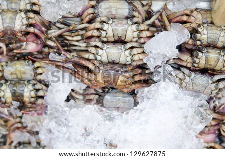 crabs in ice , market of thailand