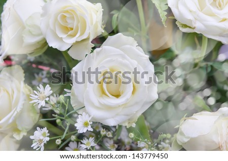 mixed of  fresh white  flower  bouquet , flower background