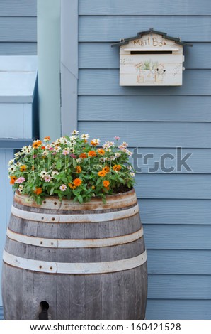 colorful flower with leaves in wooden barrel and mailbox on wall