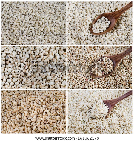 Collage from photographs of  grains , ( chinese pearl barley, rice, wheat , barley )