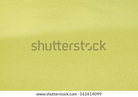 yellow Sandy beach background. Detailed sand texture and water .