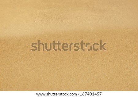 Sandy beach background. Detailed sand texture and water . Top view