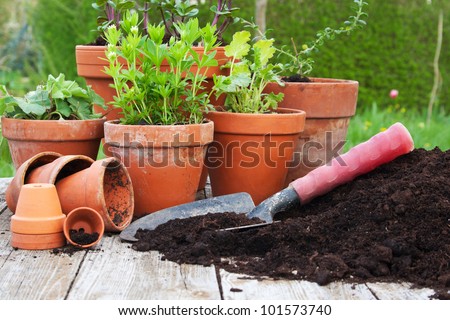 Pots with flowers/garden/planting