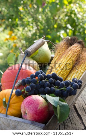 Basket with fruits and vegetables/harvest/autumn