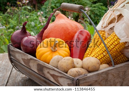 wooden basket with vegetables/vegetables/autumn