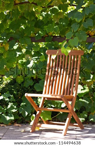 chair in the garden/chair/garden