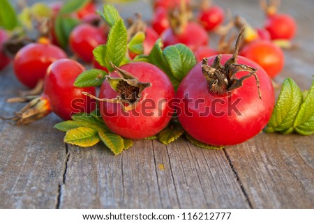 rose hips on a wooden table/rose hips/autumn