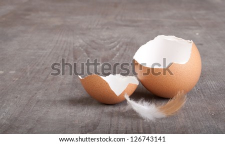 egg shells and feather on wooden ground/easter/eggs