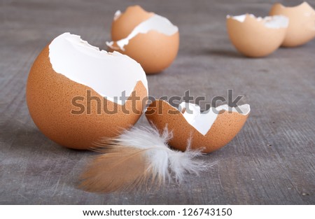 egg shells and feather on wooden ground/easter/eggs