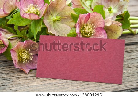 pink flowers with card on wooden ground/flowers/Christmas Rose