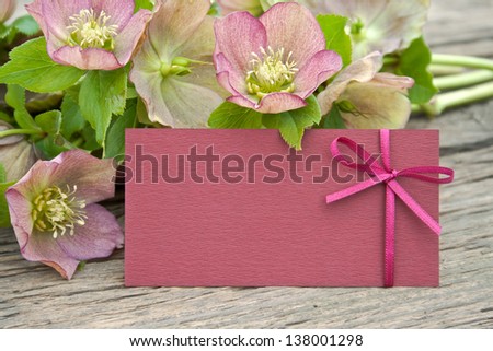 pink flowers with card on wooden ground/flowers/Christmas Rose