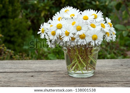 vase with daisies on wooden ground/flowers/daisies