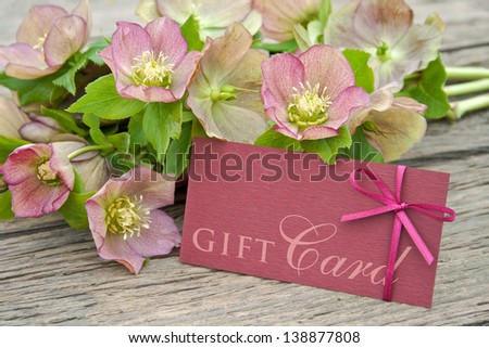 pink flowers with gift card/gift card/Christmas Rose