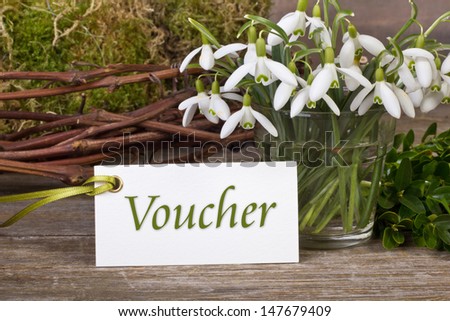 snowdrops, twigs and  card with lettering voucher/voucher/snowdrops