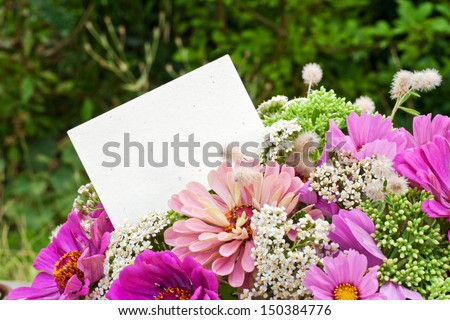 pink flowers and white card/pink flowers/summer