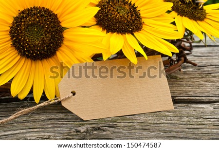 sunflowers and label on wooden table/sunflower/summer
