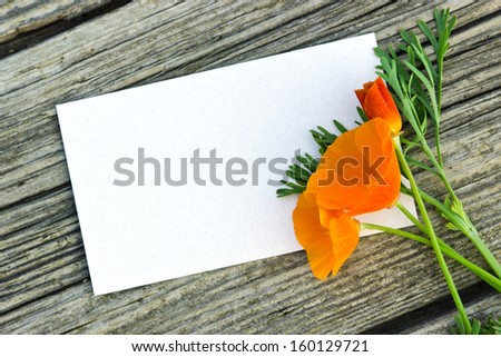poppy and white card on wooden table/poppy/flower