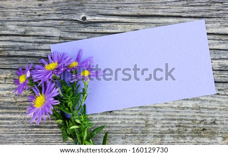 purple flowers and purple card on wooden table/aster/flower