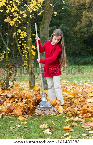 Girl raking leaves/autumn/leaves