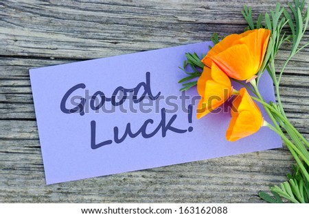 Poppy and violet card with lettering good luck