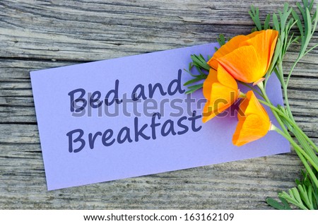 Poppy and violet card with lettering Bed and Breakfast/Bed and Breakfast/english
