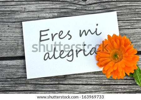 White card with orange marigold/You are my sunshine/spanish