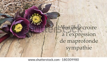 condolence card  with dark christroses/please accept the expression of my deepest sympathy /french