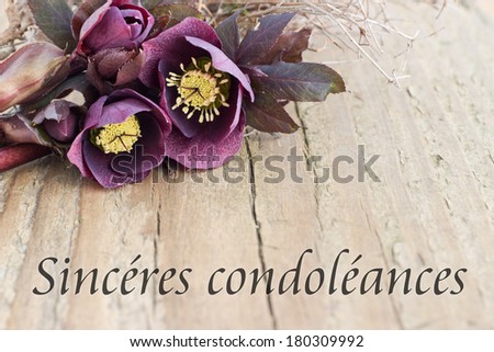 condolence card  with dark christroses/deepest sympathy/french