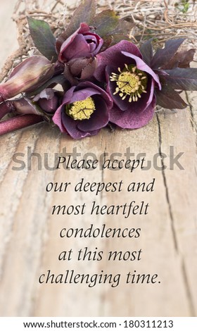 condolence card  with dark christroses/please accept our deepest and most heartfelt condolences at this most challenging time/english