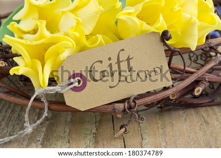 yellow tulips  with gift card/gift card/english