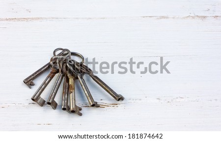 bunch of keys on white wood/bunch of keys/keys