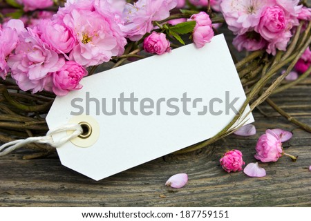 Pink blossoms with label/Pink blossoms/flowers