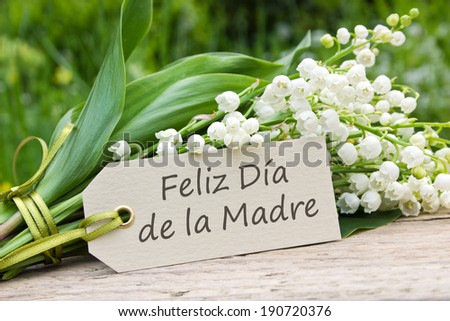 Mother`s day card with Lily of the valley/Happy Mother`s Day/spanish