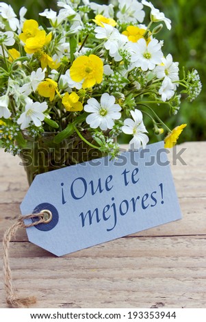 spanish get well card with wildflowers/May you feel better soon./spanish