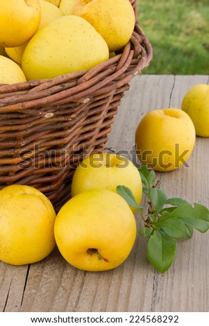 Basket with quince/quince/fruit