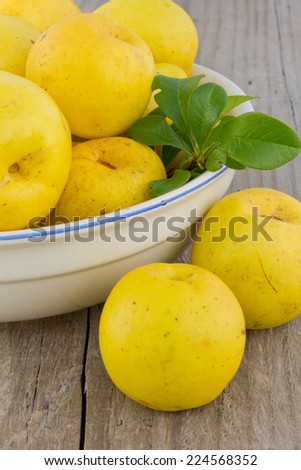 bowl with quince/quince/fruit